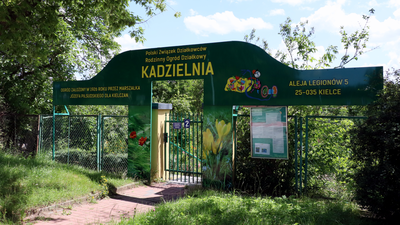 Jesteś działkowcem? Możesz dostać dotację