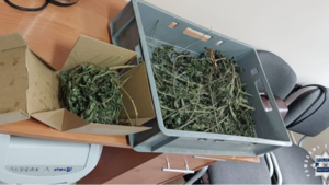 Jazda „z problemami”. Kierowca z narkotykami; miał je też pasażer