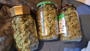 Dwa razy w ciągu miesiąca zatrzymano go za narkotyki. Grozi mu 10 lat więzienia