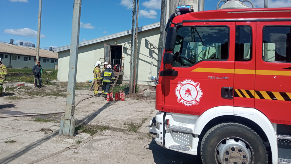 Pożar budynku gospodarczego. Wewnątrz przebywało 300 zwierząt