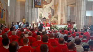 Nowi błogosławieni. W Krakowie odbyła się beatyfikacja ks. Jana Świerca i towarzyszy
