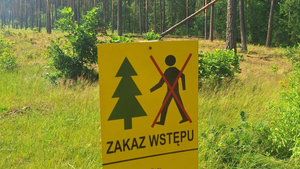 Po wichurach obowiązuje zakaz wstępu do lasu. Sprawdź, gdzie nie wejdziesz