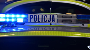 Zaczęło się od przejścia na czerwonym świetle, skończyło na obrażaniu policjantów 