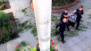 W oku kamery niszczył miejskie klomby. Wandal w rękach policji