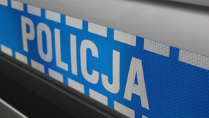 Chciał uniknąć zderzenia z dzikim zwierzęciem. Wjechał do rowu